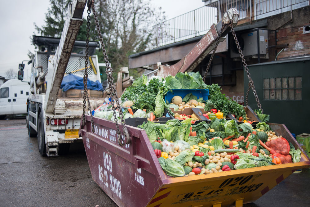 Skip full of food that would otherwise have gone to waste due to cosmetic standards set by supermarkets. It was delivered along with a petition to the Tesco headquarters in Cheshunt, England